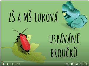 video broučci